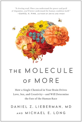 The Molecule of More by Daniel Lieberman